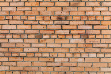 Obraz premium Red brick wall