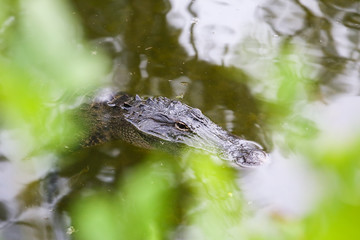 I see you! © MixMotive