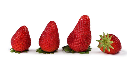 fragole in fila
