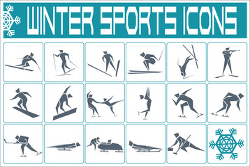 winter sports icons set