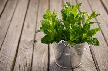 Fresh mint on rustic wooden background