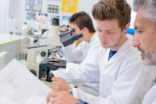 Row of students in science lesson