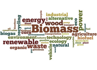 Biomass, word cloud concept 2