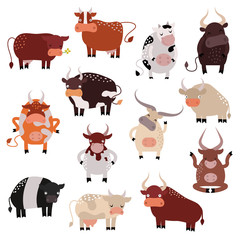 Cartoon cow action set, with cute lovely heifer in different poses vector.