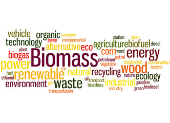 Biomass, word cloud concept 4