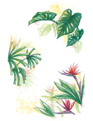 Tropical forest plant element water colour painting background