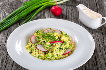 Spring onion, eggs, radish salad, close up