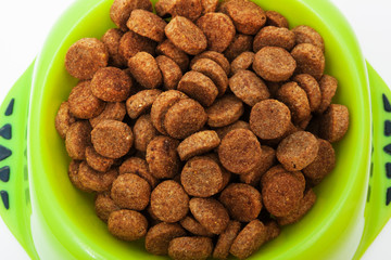 dry dog food