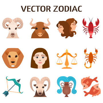 Zodiac signs colorful silhouettes horoscope astrology set vector illustration.