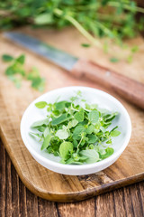 Portion of fresh Oregano