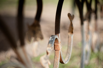 vintage forged petals on the shoots