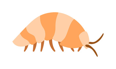 Beetle wood louse exoskeleton armadillo armor insect flat vector. 