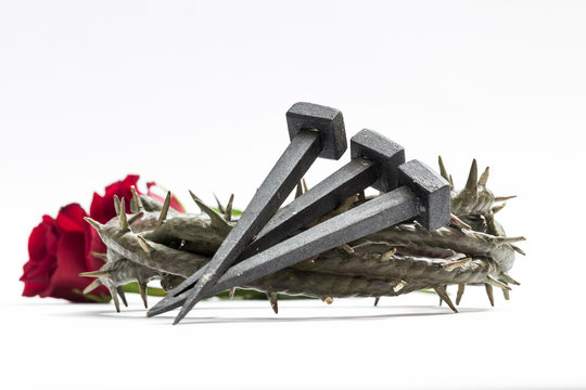 Jesus Christ crown of thorns, nails and two roses.