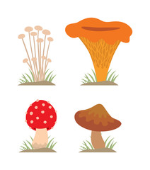 Mushrooms vector illustration set different types isolated on white background