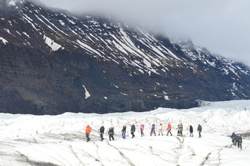 Out on the Glacier  - Glacier Hikers © PETRA