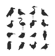 Obraz premium Vector Collection of nature black bird wildlife animal silhouettes. 