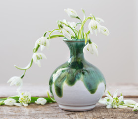 snowdrops in vase on a white background