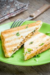 Mushroom cheese sandwich on grill, delicious snack, breakfast