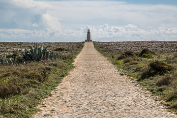 Leuchtturm an der Algarve, Portugal hinter leuchtenden grün, roten Pflanzen