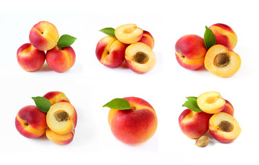 Collection of apricot isolated