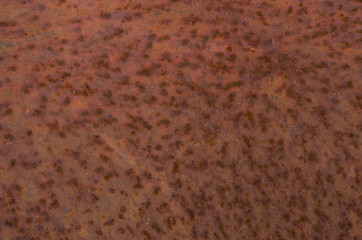 old weathered rusted metal background