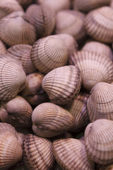 Muscheln auf dem Markt