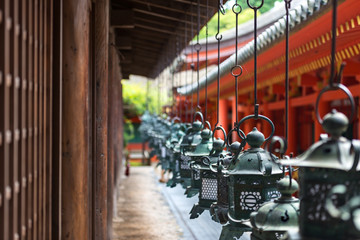 Ornate lanterns at Kasuga Grand Shrine