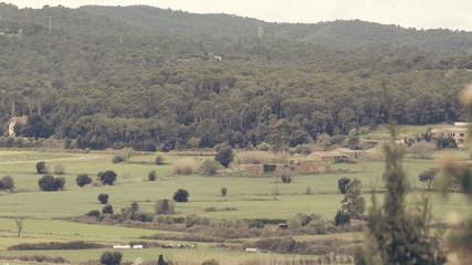 Fototapeta premium Smooth green countryside landscape