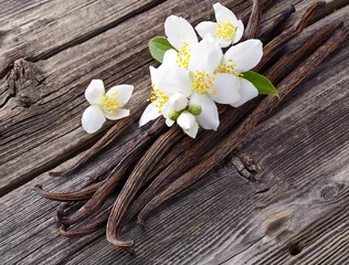 Gordijnen Vanille met jasmijnbloemen © Dionisvera