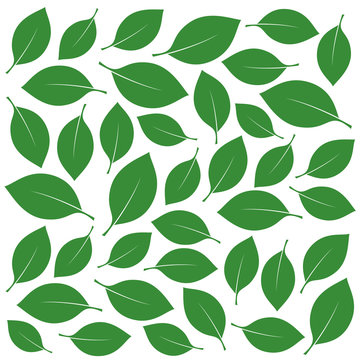 Composition of Green Leafs. Vector Illustration.