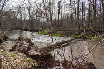Park Krajobrazowy Doliny Bystrzycy - Rzeka Bystrzyca © Marek Durajczyk