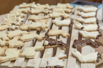 Baked Cookies in the Kitchen