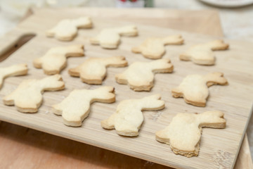 Fototapeta na wymiar Baked Cookies in the Kitchen