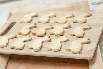 Baked Cookies in the Kitchen