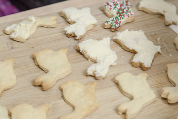 Baked Cookies in the Kitchen
