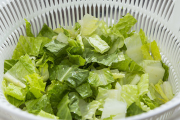 Cutting Lettuce for Salad at Home