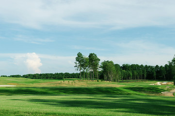 grassland and forest in golf course