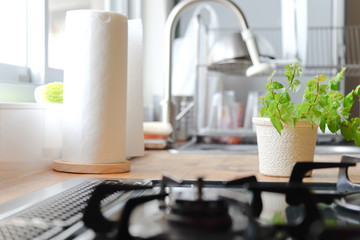 Interior of rural kitchen