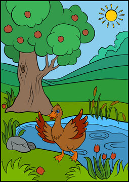 Color pictures: birds. Little cute duck runs from the pond and waves her wings. She is smiling and happy.
