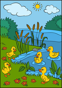 Color pictures: birds. Five little cute ducklings play near the lake. They are smiling and happy.
