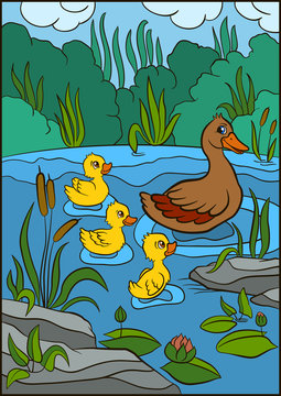 Color pictures: birds. Mother duck swims with her three little cute ducklings in the pond. They are smile and happy.