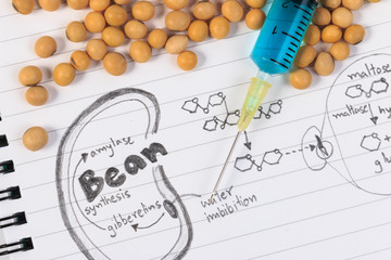 Soybean, chemical formula, syringe and blue chemistry with reaction formula.