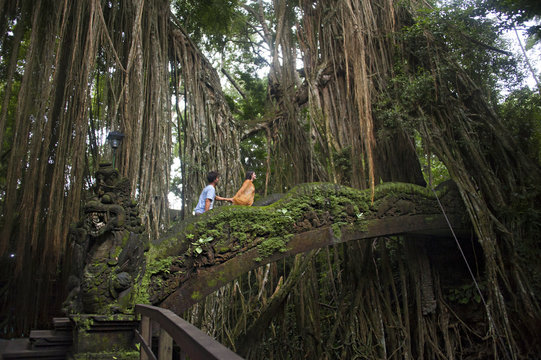 Fototapeta Tourists climbing bridge in jungle