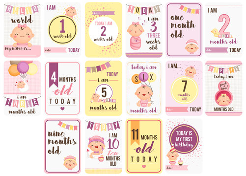 Baby Girl Weeks and Months Card