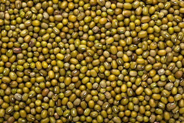 Mung bean