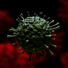 Influenza flu virus H1N1