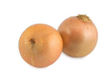 onion on white background
