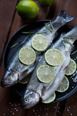Closeup of raw rainbow trout with lime and sea salt, studio shot