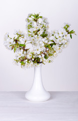 Flowering cherry branches