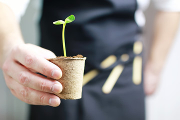 gardener hand sprout in palms